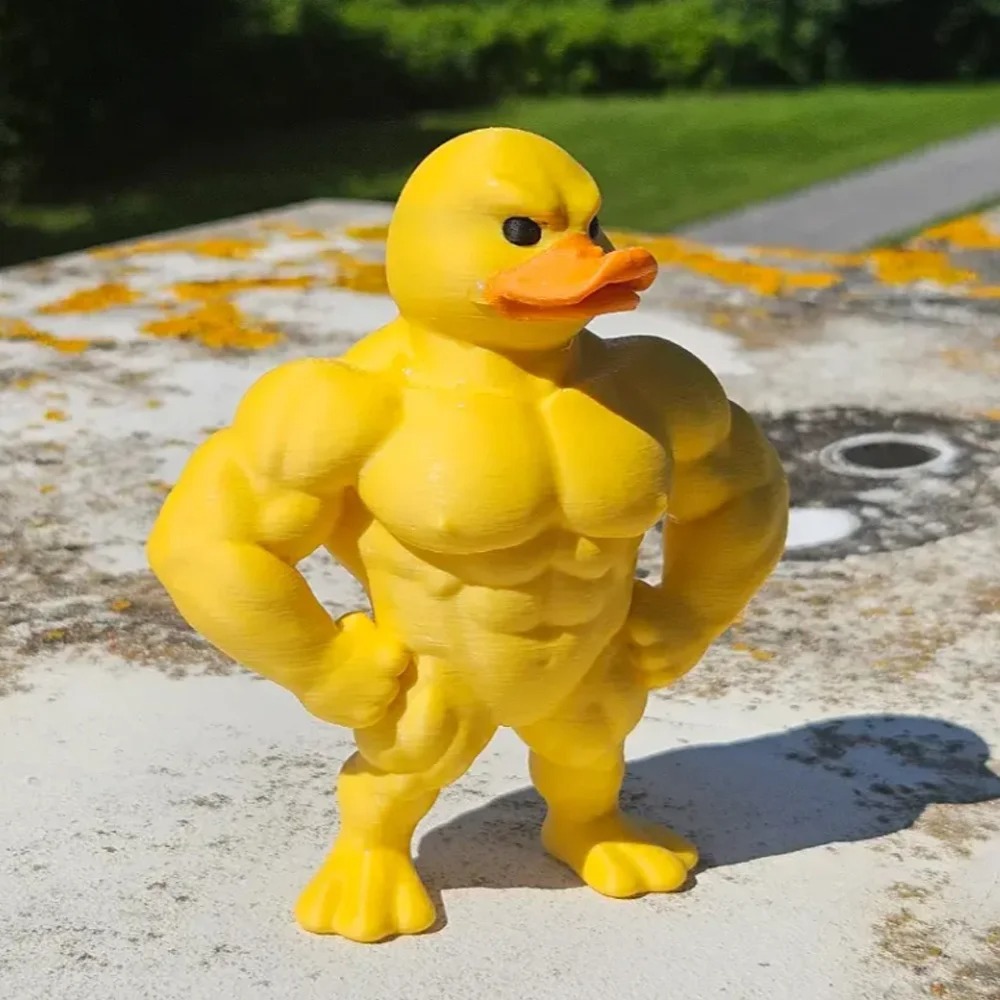 รูปปั้นเป็ดกล้ามเนื้อ - ของตกแ - Art Craft Duck บทวิจารณ์และราคา